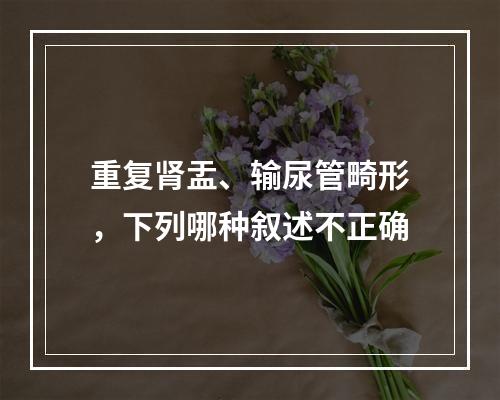 重复肾盂、输尿管畸形，下列哪种叙述不正确