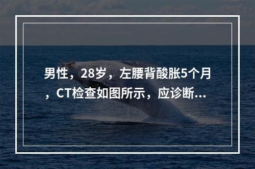 男性，28岁，左腰背酸胀5个月，CT检查如图所示，应诊断为(