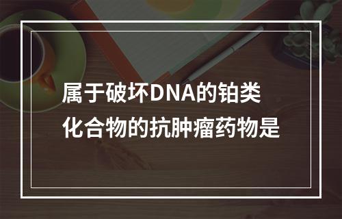 属于破坏DNA的铂类化合物的抗肿瘤药物是