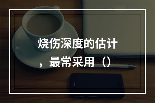 烧伤深度的估计，最常采用（）