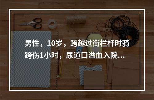 男性，10岁，跨越过街栏杆时骑跨伤1小时，尿道口溢血入院。查