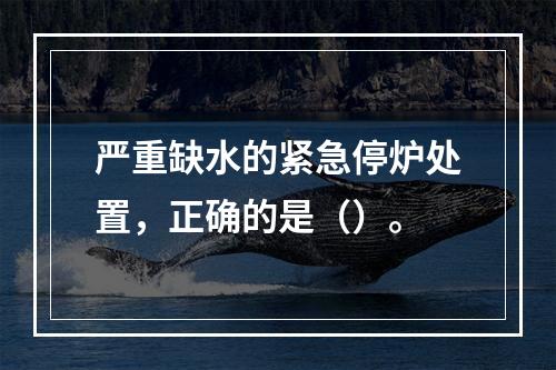 严重缺水的紧急停炉处置，正确的是（）。