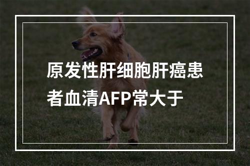 原发性肝细胞肝癌患者血清AFP常大于