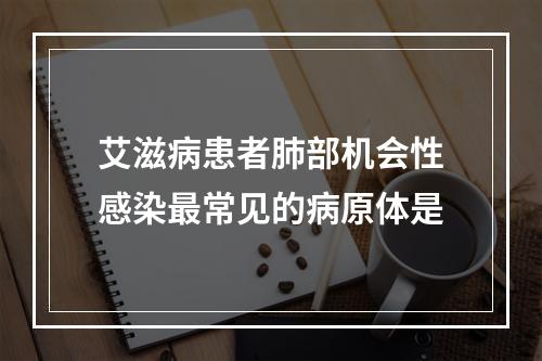 艾滋病患者肺部机会性感染最常见的病原体是