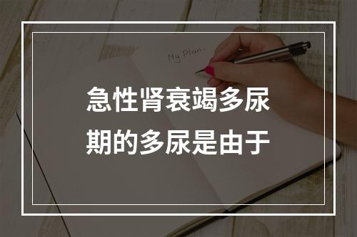 急性肾衰竭多尿期的多尿是由于