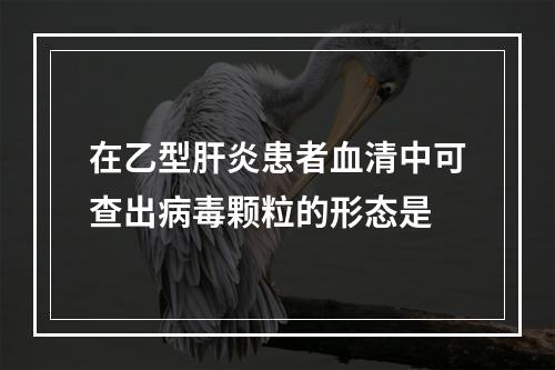 在乙型肝炎患者血清中可查出病毒颗粒的形态是