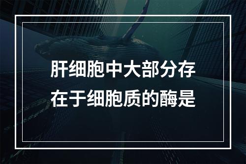 肝细胞中大部分存在于细胞质的酶是