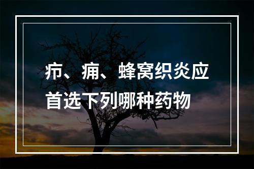 疖、痈、蜂窝织炎应首选下列哪种药物