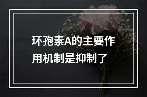 环孢素A的主要作用机制是抑制了