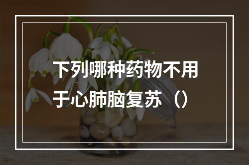 下列哪种药物不用于心肺脑复苏（）