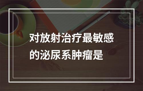 对放射治疗最敏感的泌尿系肿瘤是