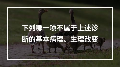 下列哪一项不属于上述诊断的基本病理、生理改变