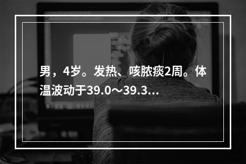 男，4岁。发热、咳脓痰2周。体温波动于39.0～39.3℃。