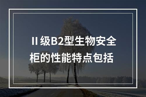 Ⅱ级B2型生物安全柜的性能特点包括