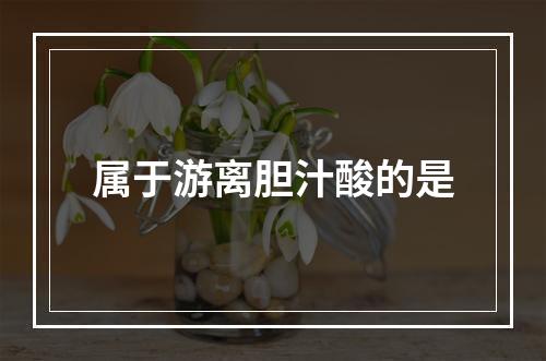 属于游离胆汁酸的是