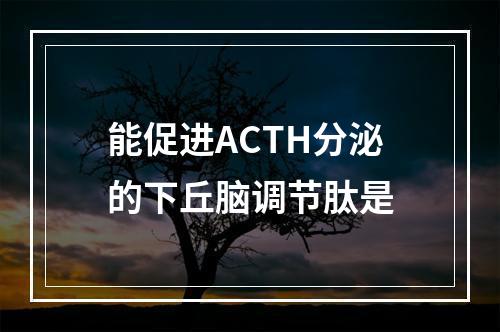 能促进ACTH分泌的下丘脑调节肽是