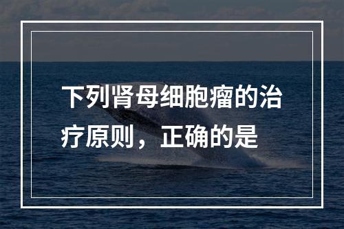 下列肾母细胞瘤的治疗原则，正确的是