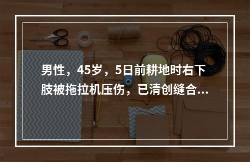 男性，45岁，5日前耕地时右下肢被拖拉机压伤，已清创缝合，现