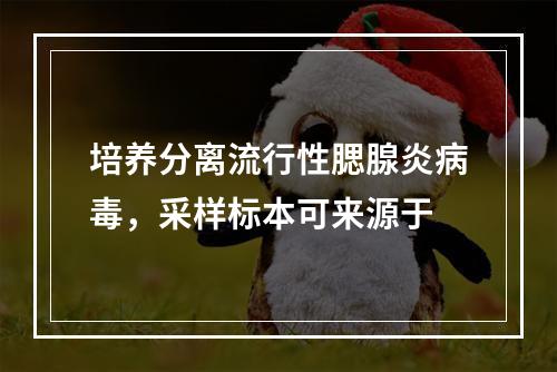 培养分离流行性腮腺炎病毒，采样标本可来源于