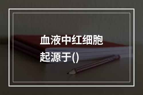 血液中红细胞起源于()