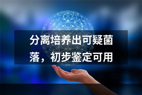 分离培养出可疑菌落，初步鉴定可用