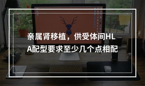 亲属肾移植，供受体间HLA配型要求至少几个点相配