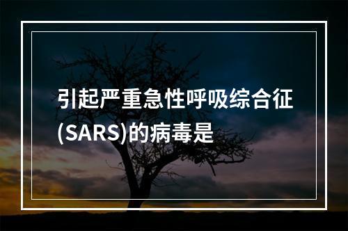 引起严重急性呼吸综合征(SARS)的病毒是