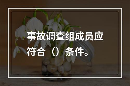 事故调查组成员应符合（）条件。