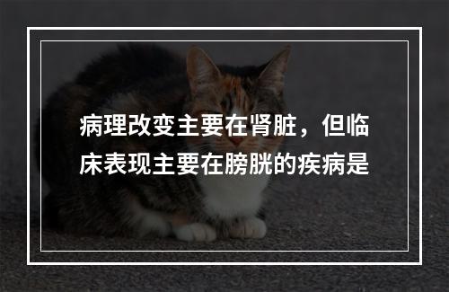 病理改变主要在肾脏，但临床表现主要在膀胱的疾病是