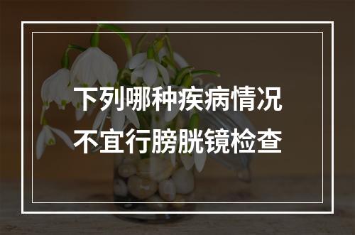 下列哪种疾病情况不宜行膀胱镜检查