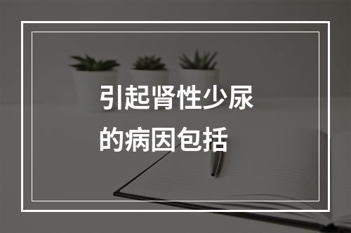 引起肾性少尿的病因包括