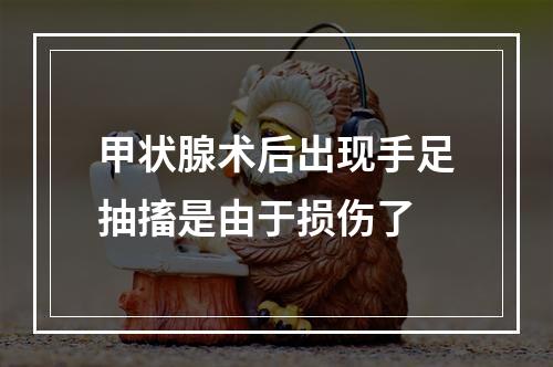 甲状腺术后出现手足抽搐是由于损伤了