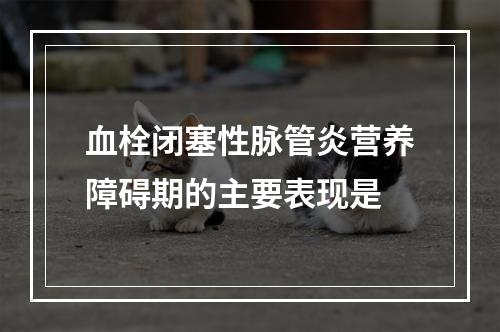 血栓闭塞性脉管炎营养障碍期的主要表现是