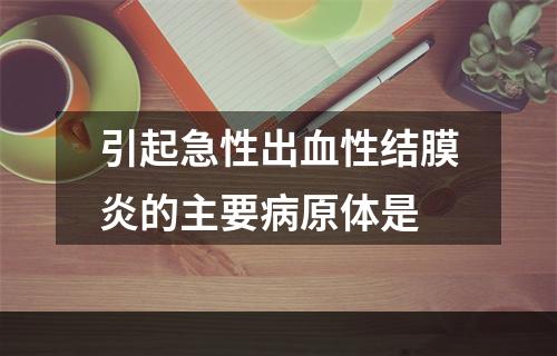 引起急性出血性结膜炎的主要病原体是