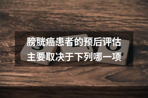 膀胱癌患者的预后评估主要取决于下列哪一项