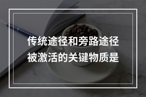 传统途径和旁路途径被激活的关键物质是