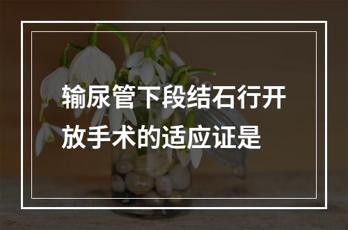 输尿管下段结石行开放手术的适应证是