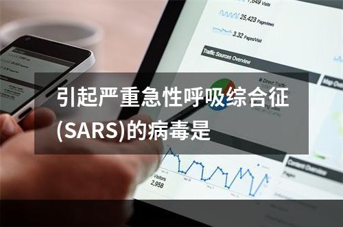 引起严重急性呼吸综合征(SARS)的病毒是