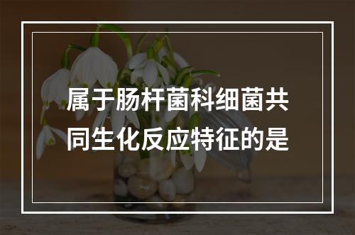 属于肠杆菌科细菌共同生化反应特征的是