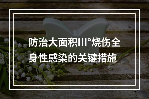 防治大面积Ⅲ°烧伤全身性感染的关键措施