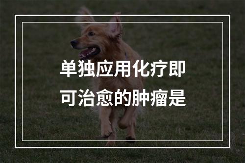 单独应用化疗即可治愈的肿瘤是