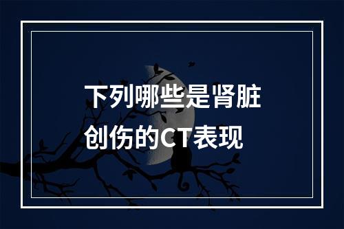 下列哪些是肾脏创伤的CT表现