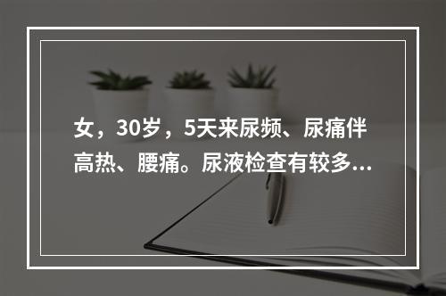 女，30岁，5天来尿频、尿痛伴高热、腰痛。尿液检查有较多RB