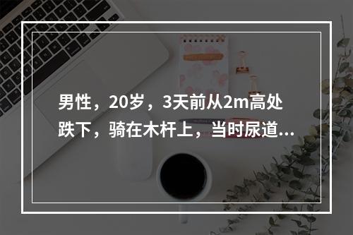 男性，20岁，3天前从2m高处跌下，骑在木杆上，当时尿道出血