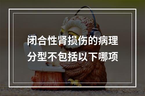 闭合性肾损伤的病理分型不包括以下哪项