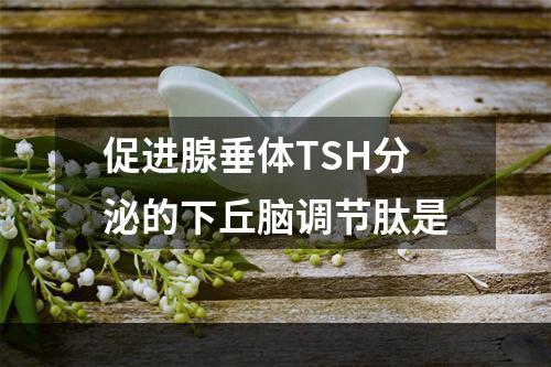 促进腺垂体TSH分泌的下丘脑调节肽是