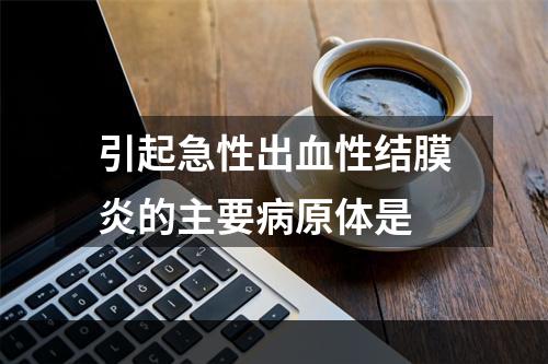 引起急性出血性结膜炎的主要病原体是