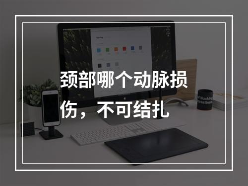 颈部哪个动脉损伤，不可结扎