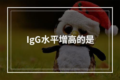 IgG水平增高的是