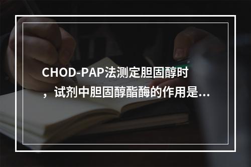 CHOD-PAP法测定胆固醇时，试剂中胆固醇酯酶的作用是()